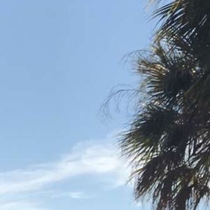 Meet your Posher, Aiyannah